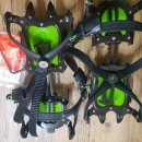 라이프스포츠 이미지