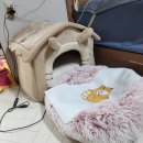 주식회사 티엔케이