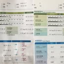 네이더 | [네이더 밴드] 가압트레이닝의 사용법 및 사용 2주차 후기