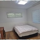 상신로 | 애견펜션 도심 속 작은 숲 속 쉼터, 폴레폴레 후기