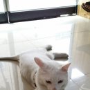 까미헤어아트
