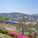 수원-0167 Daum카페