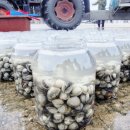 용두태권도스쿨 이미지