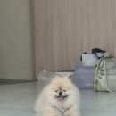 여수비치펜션 - 25450 | 여수 낭만포차 숙소 추천, 관광하기 편했던 여수비치펜션 후기