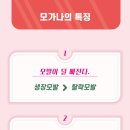 태강한의원 이미지