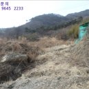 금산주유소 이미지