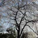 평거강변3 이미지