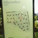 대각경로당 이미지