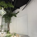 호텔엘리스 | 대구 AW호텔 앨리스홀 예식후기｜계약 전 꼭 봐야할 홀·식대 총정리