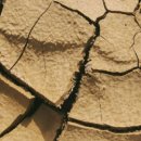 생태와 기후변화이야기 이미지