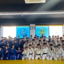 오아시스 유도클럽 이미지