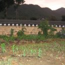 길벗민박 이미지