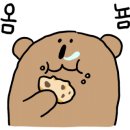 늘푸른음악학원 이미지