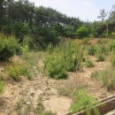 CU 서부점 이미지