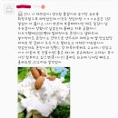 리코타치즈 양 적어서 속상했던 여시 드루와 드루와 (+내용,여시후기 계속 추가중) 이미지