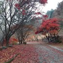 세경아파트경로당 이미지