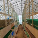 세도농장 이미지