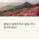 합천한방오리 | 황매산 철쭉축제 당일치기 완벽 가이드