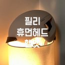 삼천리고급세탁 | [자전거헬멧] - 필리 휴먼 헤드 전기자전거 헬멧 내돈내산 후기 :자니픽