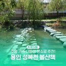 성복천 | 주말 가족 나들이로, 용인 성복천 봄 산책 다녀왔습니다!