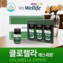대상웰라이프(영남총국) | 클로렐라 엑스퍼트 (chlorella expert)