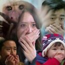 댓잎갈비 이미지