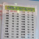 공화동 휴게소 (앞) | 여수 가볼만한곳 오동도 동백꽃, 동백열차