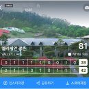 (주)지엘파가니카클럽하우스 | 7년만의 라베타이 : 2025 엘리시안 강촌CC 라운드 후기