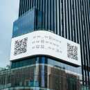 바른연어 이미지