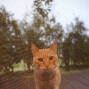 나오스빌라 이미지