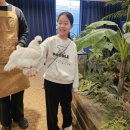 안골길 | 양평 아이와가볼곳 굼프로 곤충체험학습농장 내돈내산 후기