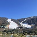 보이는 당구 (초급 A) | [홍천 비발디파크] 스키 여행 준비물, 꿀팁, 내돈내산 옷 예쁜 렌탈샵 공유