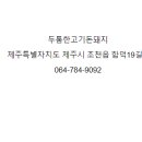 제주돈돼지 이미지