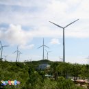 언덕위에 풍차 이미지