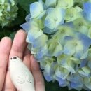 (주)오린 이미지
