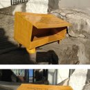 아지랑양이 이미지