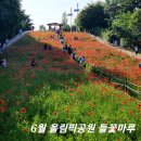 마루광장 | 6월 서울 가볼만한곳 올림픽공원 들꽃마루 장미광장 나들이