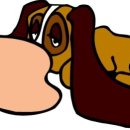 21세기 동물병원 이미지