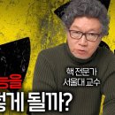 서울대 원자핵공학과 교수님曰 후쿠시마 원전 오염수는 4년이 아니라 일주일이면 우리나라에 온다 이미지