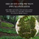 웅추농장 이미지