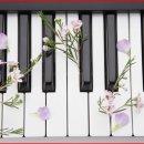 뮤직플러스음악학원 이미지