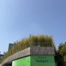 백자로 R | 서울 무료 전시 추천 리움미술관 고미술 상설전시 관람 예약 주차