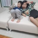 샘아쿠아라인 | 집콕 라이프 스타일 필수품 퍼리든 몽듀 패브릭 2인용 쇼파 무료 방문설치