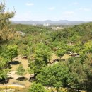 황학산수목원 이미지