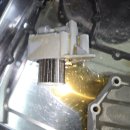 엘제이모터스 이미지