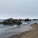 남호해수욕장 이미지