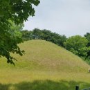 윤창세선생 묘소일원 이미지