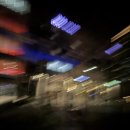 동성프라임 | [내돈내산] 교토→도쿄 심야버스🚌 후기 : 윌라 프라임(Willer express) 여성전용석 이용기