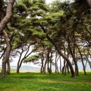 솔밭공원화장실 이미지