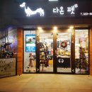 다온애견샵 이미지